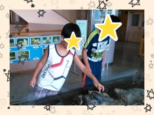 2014-08-06-20-43-34_deco