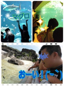 2014-08-25-04-43-19_deco