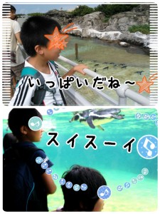 2014-08-25-04-44-07_deco