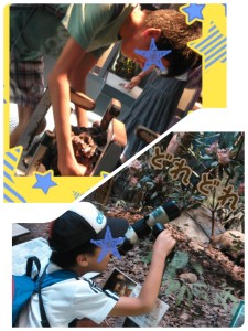 2014-08-25-04-48-17_deco